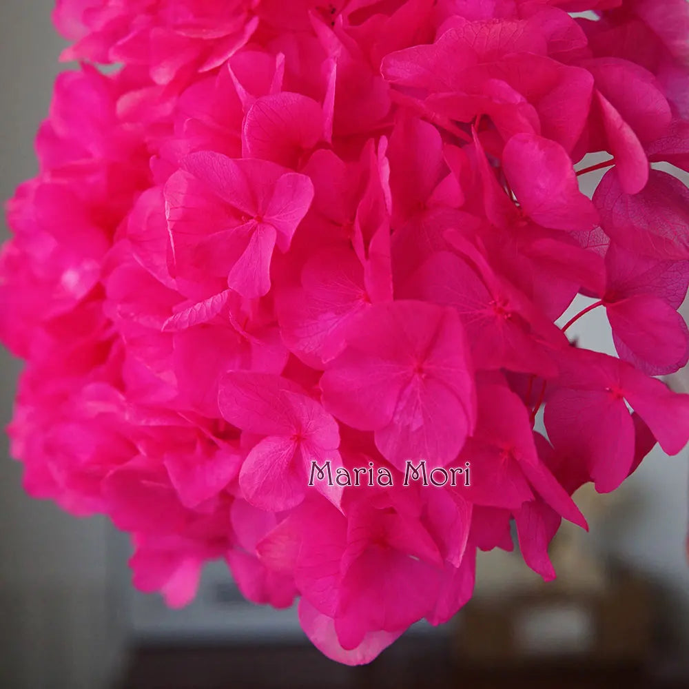 10g/pack Big Petals Macrophylla Hydrangea Preserved Hydrangea Office Decor Preserved Flowers Home Decoration Wedding Decoration