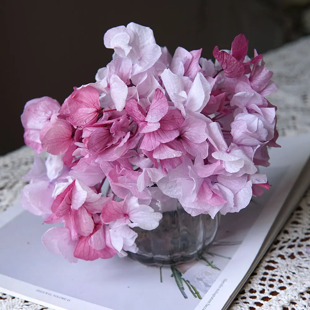 10g/pack Big Petals Macrophylla Hydrangea Preserved Hydrangea Office Decor Preserved Flowers Home Decoration Wedding Decoration