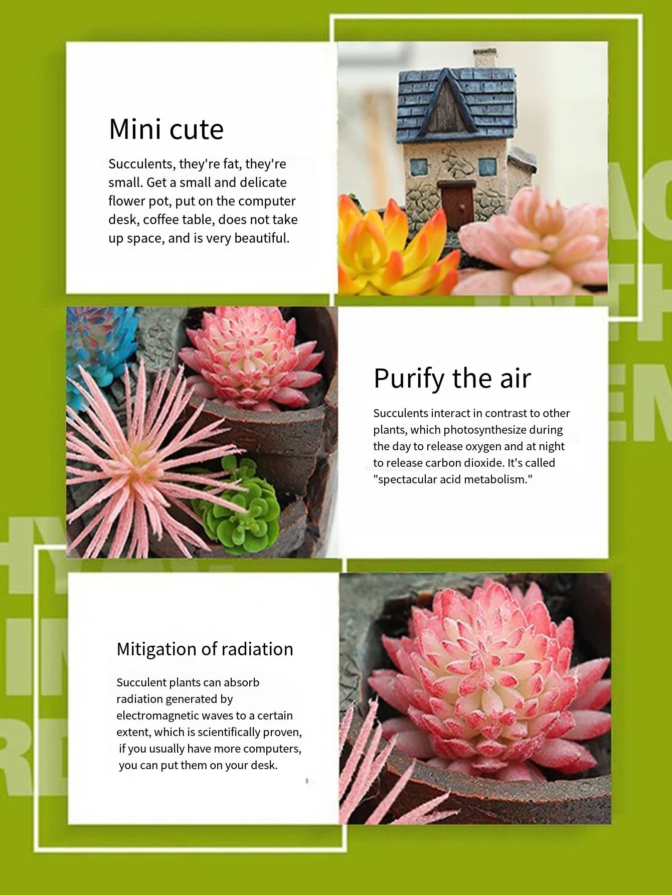 Nordic creative round succulent flower pot Lazy succulent pot succulent plant mini cartoon resin flower pot The Home Essentials