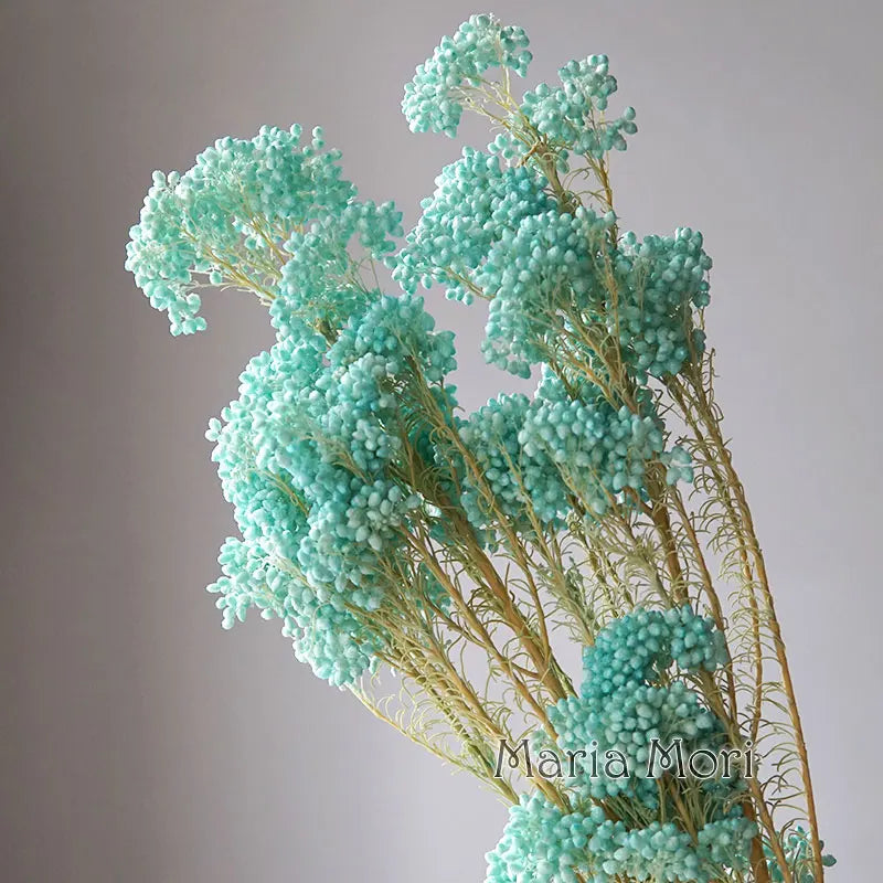 40g/Nordic Style Dried Preserved Flowers Real Natural Floral Millet Flower For Home Wedding Party Office Decoration DIY Material The Home Essentials