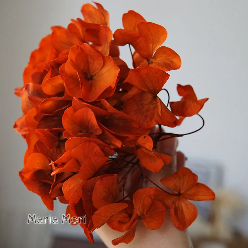 10g/pack Big Petals Macrophylla Hydrangea Preserved Hydrangea Office Decor Preserved Flowers Home Decoration Wedding Decoration