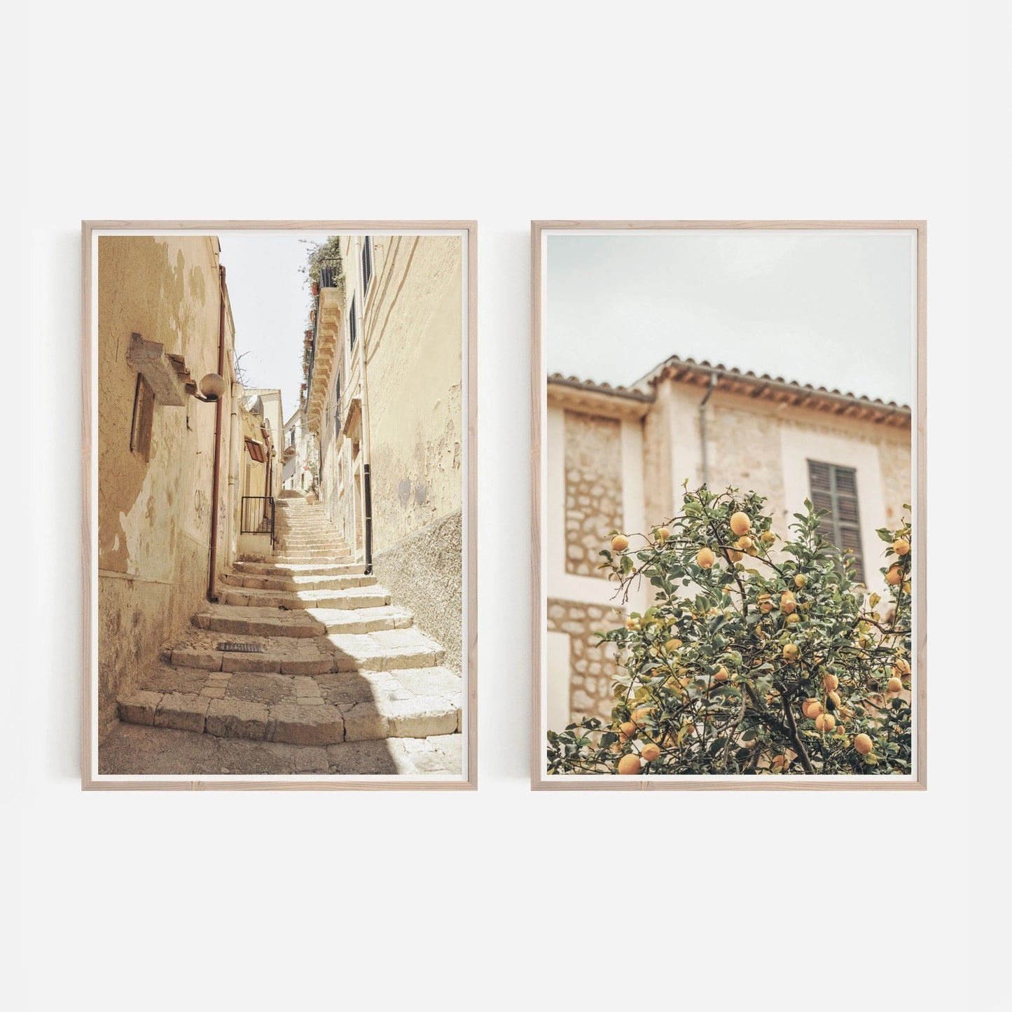 2pcs/set Neutral Olive Tree Shadow Vase Canvas Print Poster Retro Botanical Landscape Art Print Home Decor Art Poster Gifts The Home Essentials