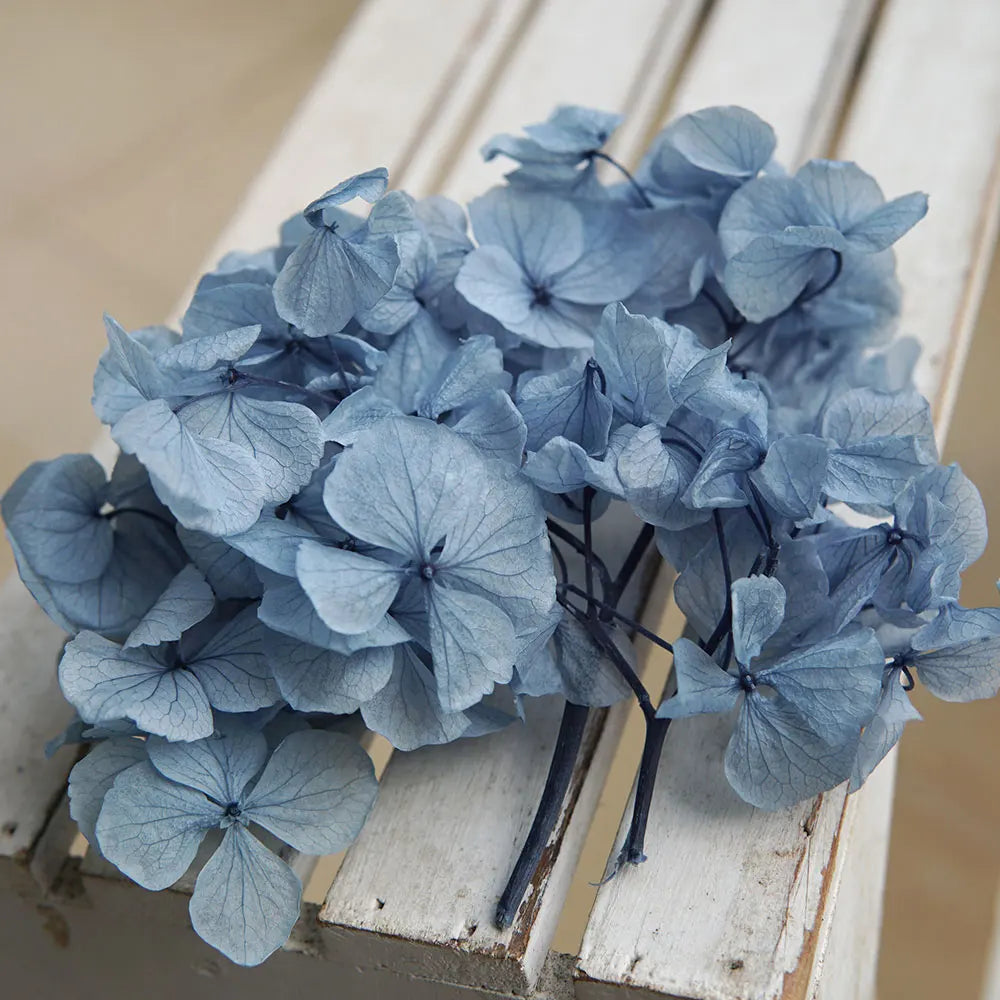10g/pack Big Petals Macrophylla Hydrangea Preserved Hydrangea Office Decor Preserved Flowers Home Decoration Wedding Decoration
