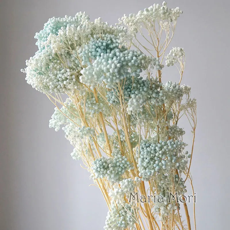 40g/Nordic Style Dried Preserved Flowers Real Natural Floral Millet Flower For Home Wedding Party Office Decoration DIY Material The Home Essentials