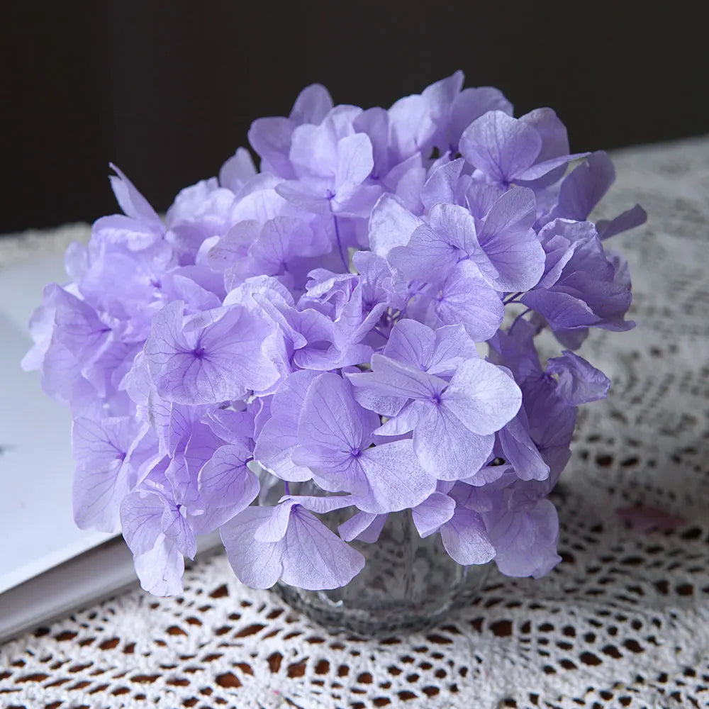 10g/pack Big Petals Macrophylla Hydrangea Preserved Hydrangea Office Decor Preserved Flowers Home Decoration Wedding Decoration