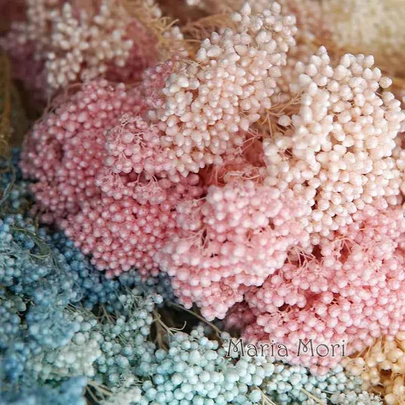 40g/Nordic Style Dried Preserved Flowers Real Natural Floral Millet Flower For Home Wedding Party Office Decoration DIY Material