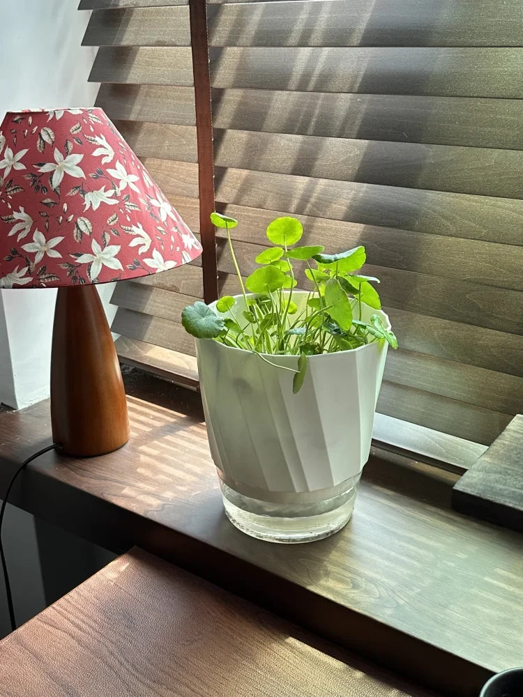Lazy Hydroponic Flower Pot Automatic Water-Absorbing Flowerpot Transparent Double Layer Plastic Self Watering Planter Office