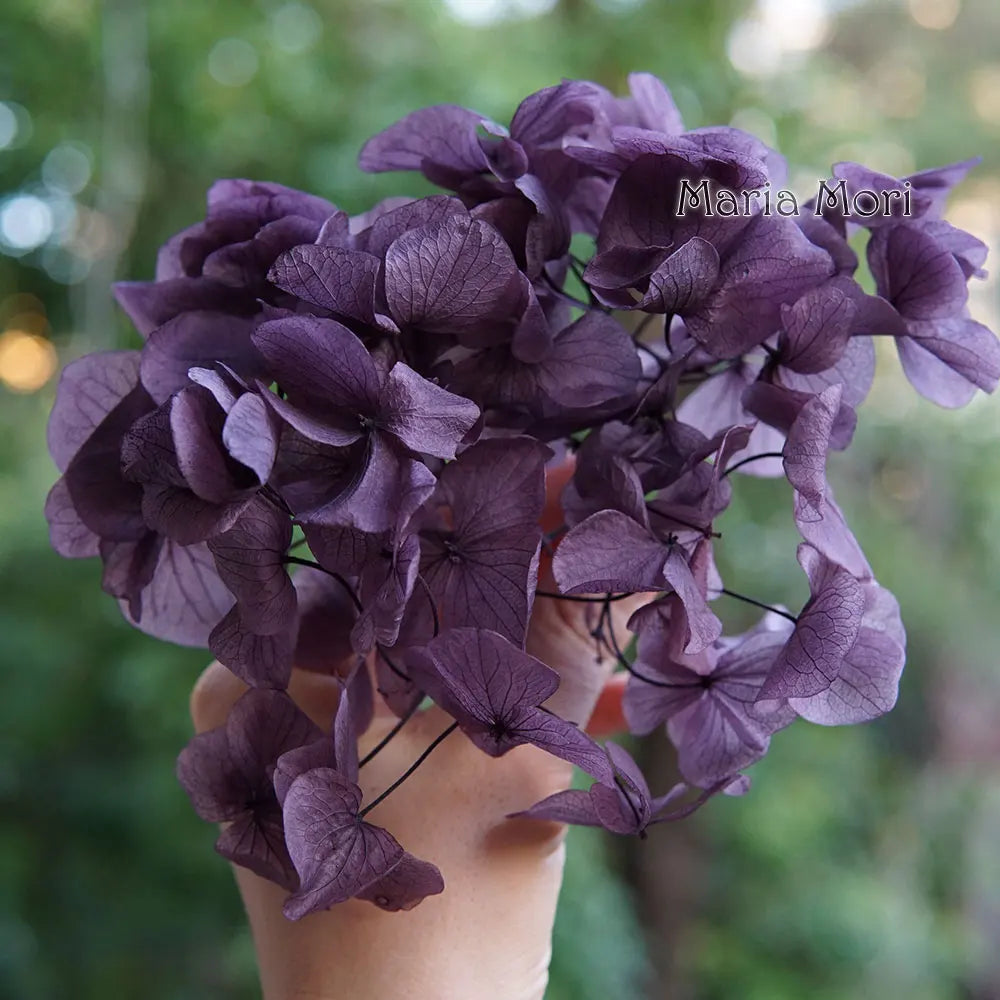 10g/pack Big Petals Macrophylla Hydrangea Preserved Hydrangea Office Decor Preserved Flowers Home Decoration Wedding Decoration