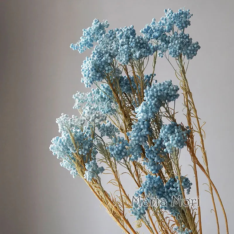 40g/Nordic Style Dried Preserved Flowers Real Natural Floral Millet Flower For Home Wedding Party Office Decoration DIY Material The Home Essentials