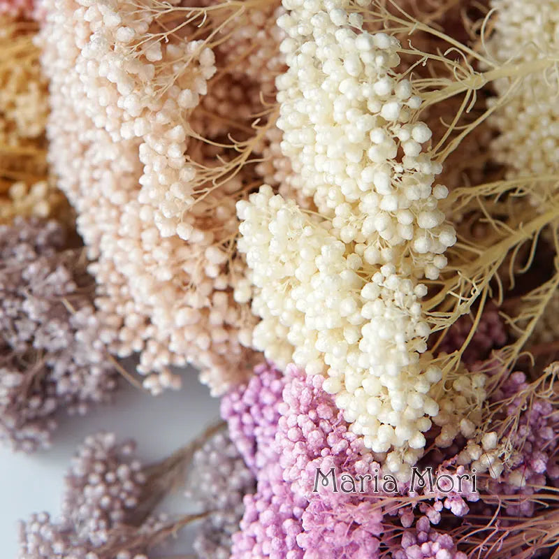 40g/Nordic Style Dried Preserved Flowers Real Natural Floral Millet Flower For Home Wedding Party Office Decoration DIY Material The Home Essentials