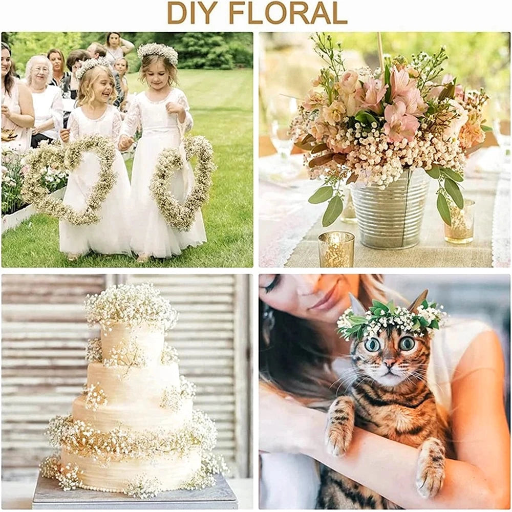 40-50cm Natural Fresh Dried Flowers Gypsophila paniculata,Baby's Breath Flower bouquets,gift & Wedding Decoration,Home Decor