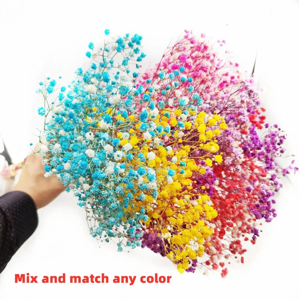 40-50cm Natural Fresh Dried Flowers Gypsophila paniculata,Baby's Breath Flower bouquets,gift & Wedding Decoration,Home Decor