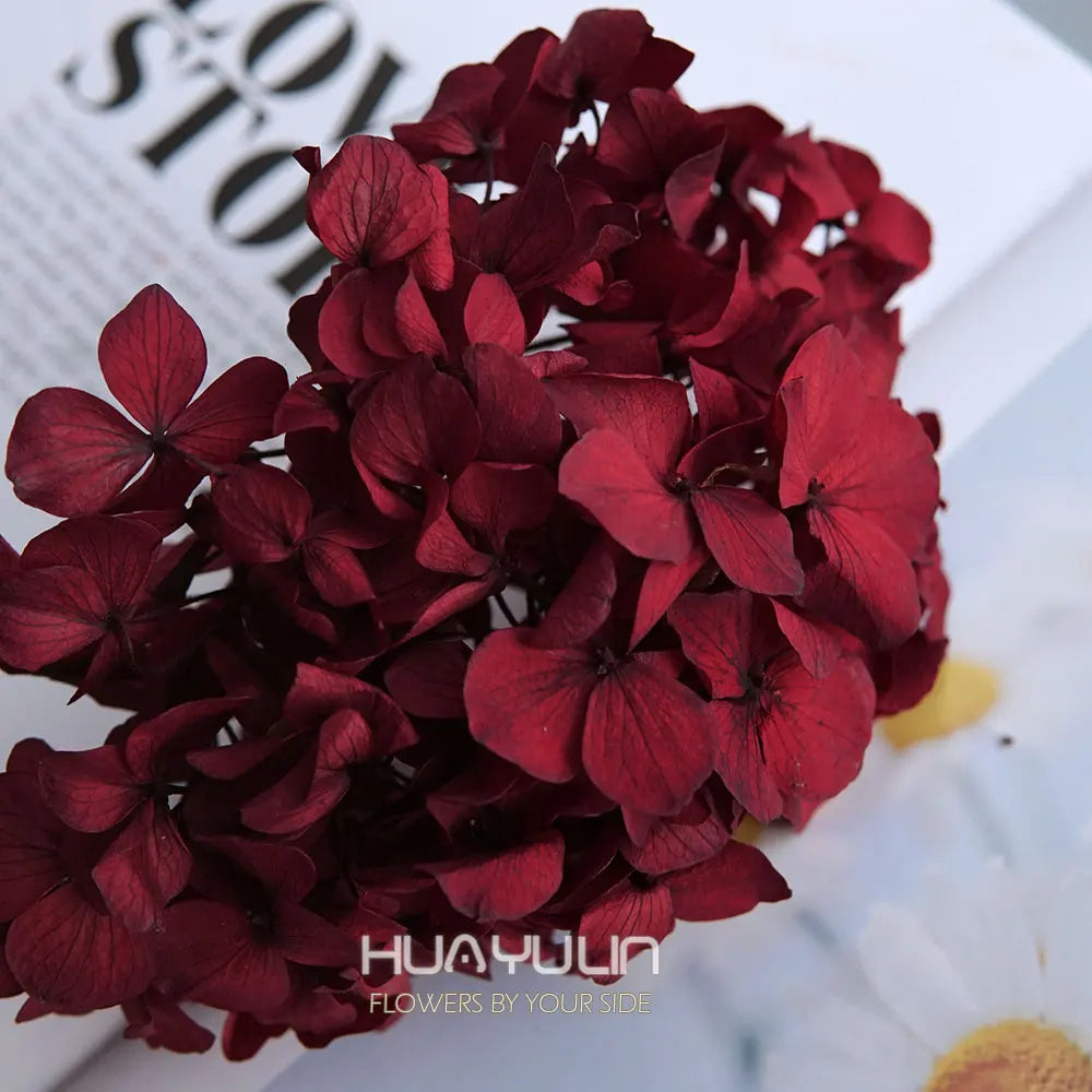 10g/pack Big Petals Macrophylla Hydrangea Preserved Hydrangea Office Decor Preserved Flowers Home Decoration Wedding Decoration