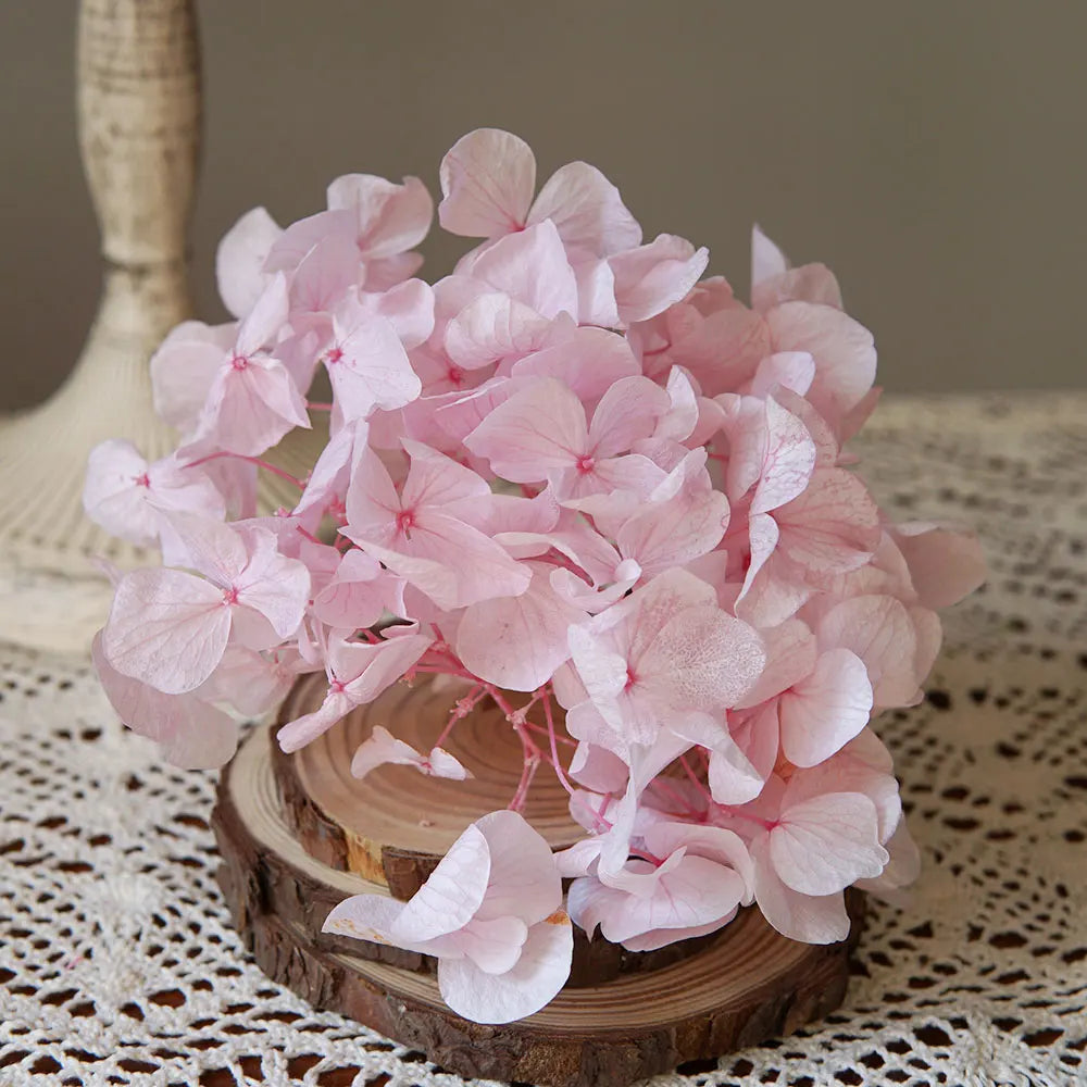 10g/pack Big Petals Macrophylla Hydrangea Preserved Hydrangea Office Decor Preserved Flowers Home Decoration Wedding Decoration