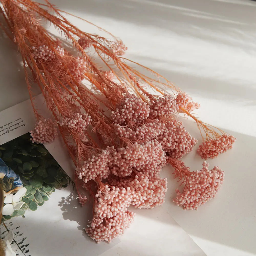 40g/Nordic Style Dried Preserved Flowers Real Natural Floral Millet Flower For Home Wedding Party Office Decoration DIY Material The Home Essentials
