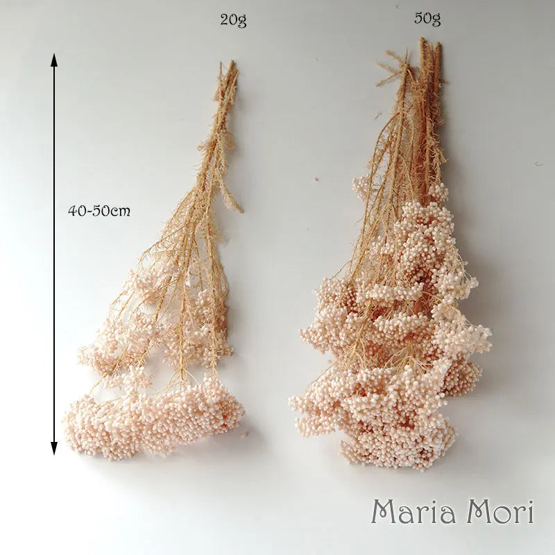 40g/Nordic Style Dried Preserved Flowers Real Natural Floral Millet Flower For Home Wedding Party Office Decoration DIY Material The Home Essentials