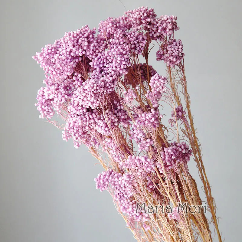 40g/Nordic Style Dried Preserved Flowers Real Natural Floral Millet Flower For Home Wedding Party Office Decoration DIY Material The Home Essentials