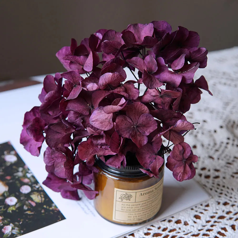 10g/pack Big Petals Macrophylla Hydrangea Preserved Hydrangea Office Decor Preserved Flowers Home Decoration Wedding Decoration