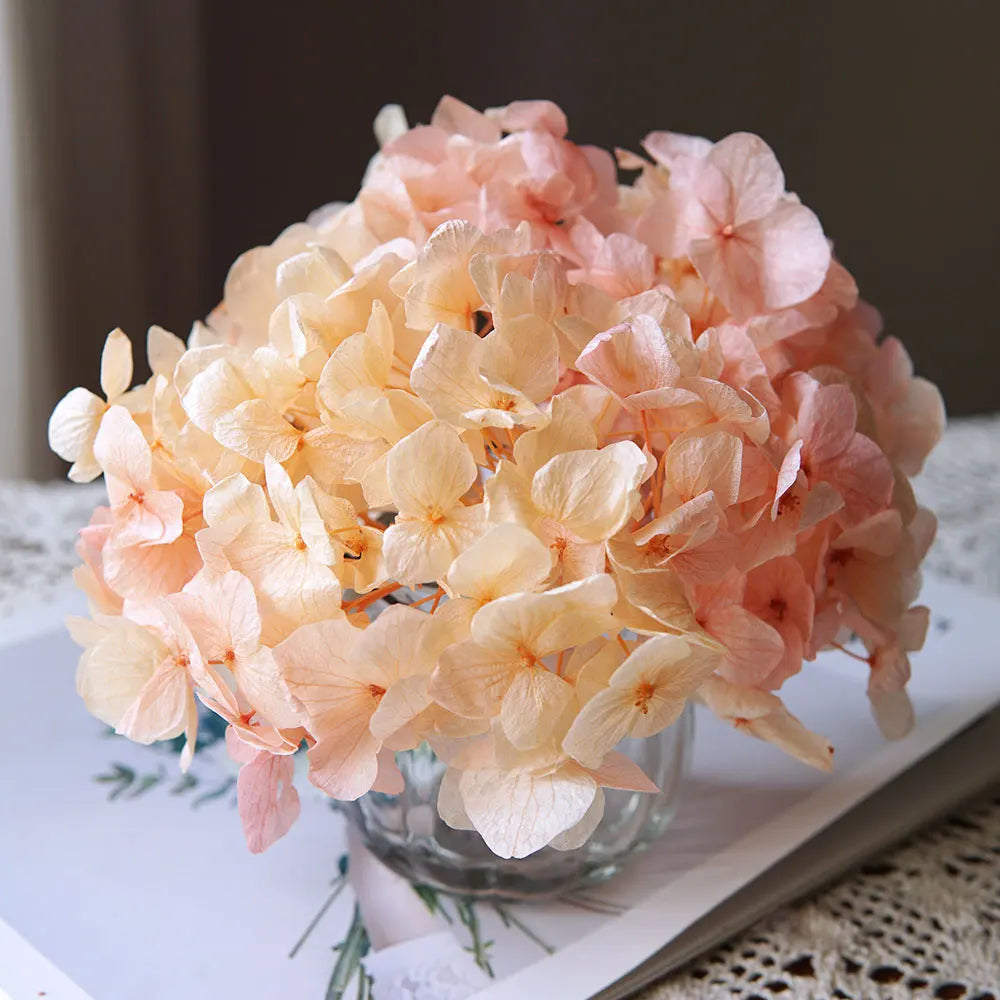 10g/pack Big Petals Macrophylla Hydrangea Preserved Hydrangea Office Decor Preserved Flowers Home Decoration Wedding Decoration