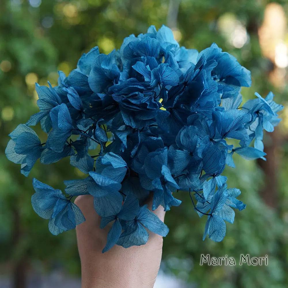 10g/pack Big Petals Macrophylla Hydrangea Preserved Hydrangea Office Decor Preserved Flowers Home Decoration Wedding Decoration