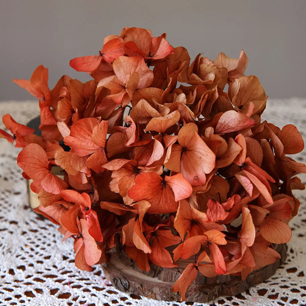 10g/pack Big Petals Macrophylla Hydrangea Preserved Hydrangea Office Decor Preserved Flowers Home Decoration Wedding Decoration