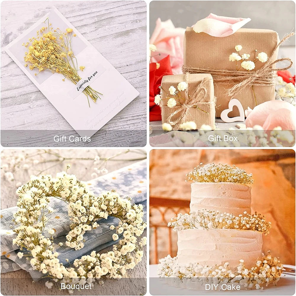 40-50cm Natural Fresh Dried Flowers Gypsophila paniculata,Baby's Breath Flower bouquets,gift & Wedding Decoration,Home Decor