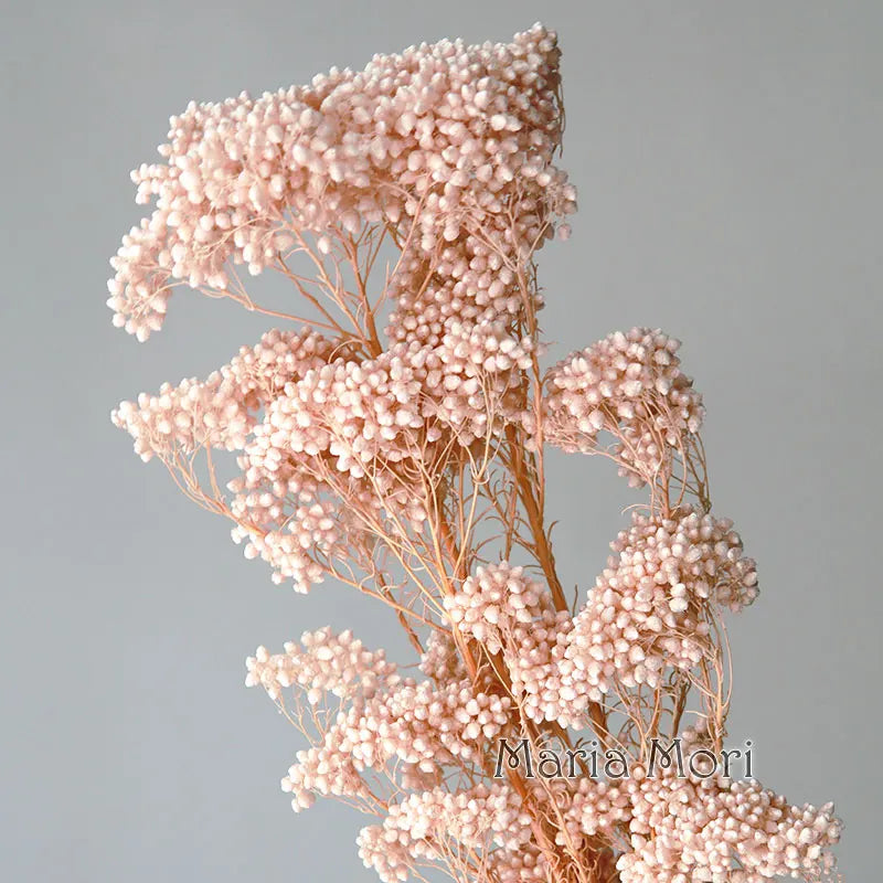 40g/Nordic Style Dried Preserved Flowers Real Natural Floral Millet Flower For Home Wedding Party Office Decoration DIY Material The Home Essentials