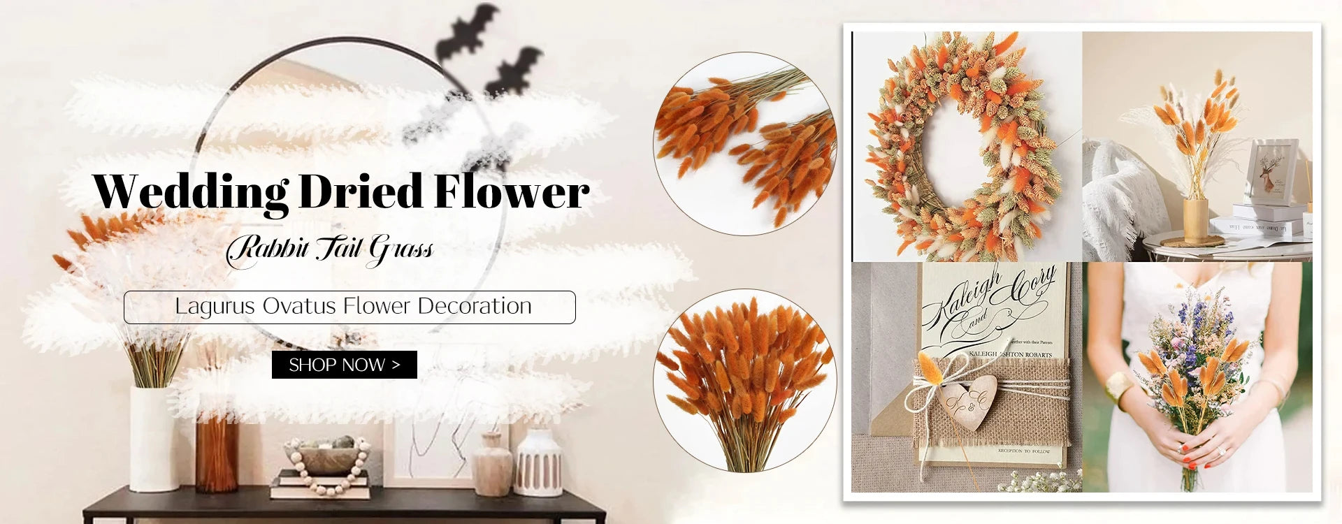 Pink White Dried Flowers Mariage Bouquet Centerpieces for Weddings Natural Pampas Grass Real Gypsophile Nordic Boho Home Decor The Home Essentials