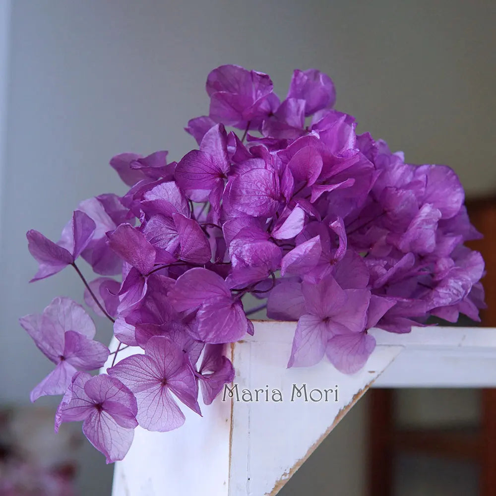 10g/pack Big Petals Macrophylla Hydrangea Preserved Hydrangea Office Decor Preserved Flowers Home Decoration Wedding Decoration