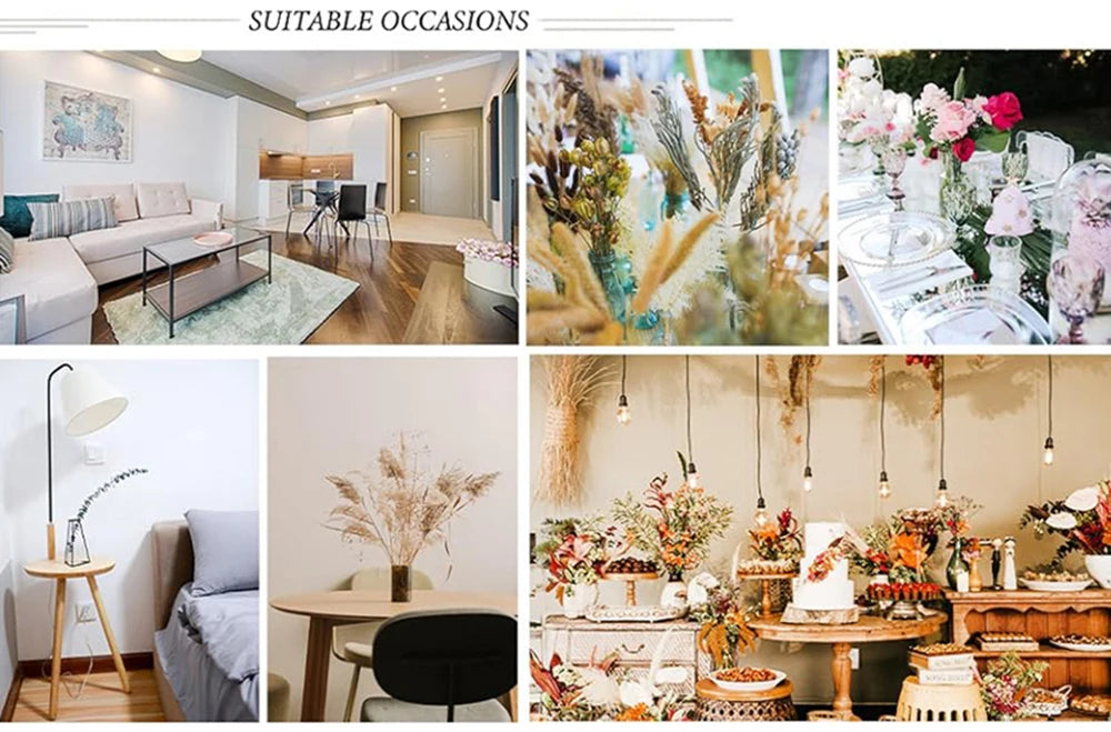 Pink White Dried Flowers Mariage Bouquet Centerpieces for Weddings Natural Pampas Grass Real Gypsophile Nordic Boho Home Decor The Home Essentials