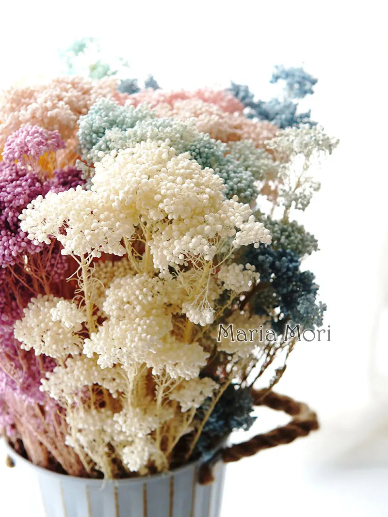 40g/Nordic Style Dried Preserved Flowers Real Natural Floral Millet Flower For Home Wedding Party Office Decoration DIY Material The Home Essentials