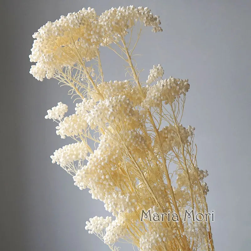 40g/Nordic Style Dried Preserved Flowers Real Natural Floral Millet Flower For Home Wedding Party Office Decoration DIY Material The Home Essentials